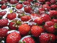 erdbeeren.webp erdbeeren.webp