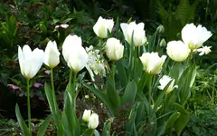 P1440409.webp