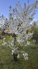 IMG_9655.jpeg