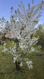 IMG_9655.jpeg