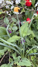 IMG_9653.jpeg
