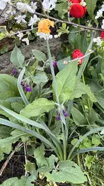 IMG_9653.jpeg
