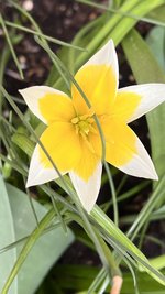 IMG_9635.jpeg