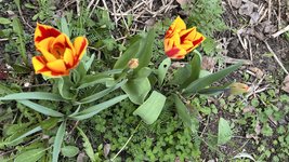 IMG_9626.jpeg