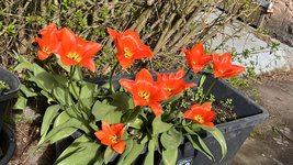 IMG_9589.jpeg