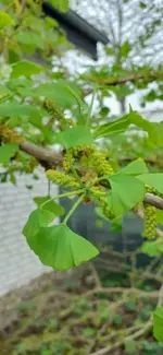 20240411_080510.webp