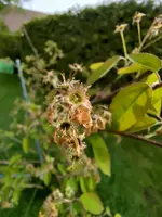 IMG_20240409_094031.webp