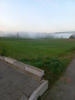 20240412_065943.jpg