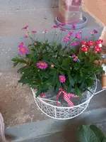 20240412_065544.webp