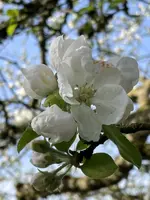 IMG_2607.jpeg
