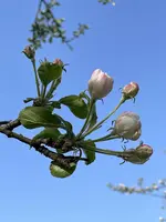 IMG_2609.jpeg