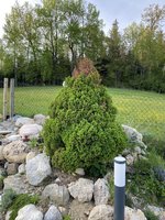 IMG_2274.jpeg