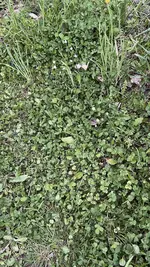IMG_9673.webp