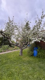 IMG_9669.jpeg