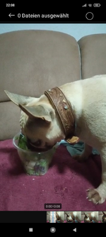 Screenshot_2023-10-27-22-08-38-175_com.miui.gallery.webp