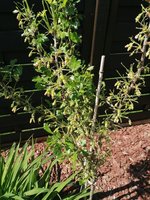 IMG_20240413_122755.jpg