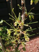 IMG_20240413_122759.jpg