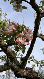 IMG_9707.jpeg
