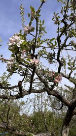 IMG_9708.jpeg