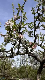 IMG_9708.jpeg