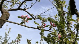 IMG_9709.jpeg