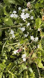 IMG_9704.jpeg