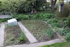 Gemüsegarten 0524.JPG