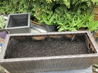 Blumenkasten-Pflanzkorb_04.jpg