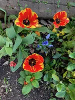For*2024-04-13.webp