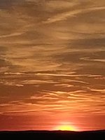 IMG_20230914_193954.jpg
