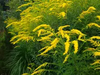 IMG_20230829_123940.webp