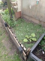 IMG_20240413_145631.jpg