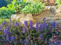 IMG_20240413_080741.webp