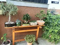 IMG_20240414_152904.webp