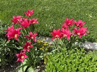 IMG_4986.jpeg