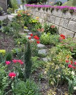 IMG_4990.jpeg