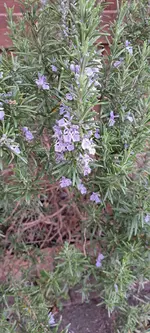 20240414_175357.webp