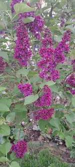 20240414_173642.webp
