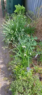 20240414_142718.webp