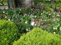 IMG_20240414_115015.jpg