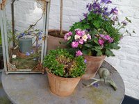 IMG_20240414_115252.jpg