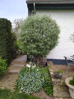 IMG_20240414_115349.jpg