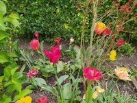 IMG_20240414_115819.jpg