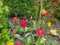 IMG_20240414_115819.jpg