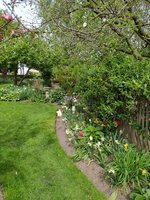 IMG_20240414_115917.jpg