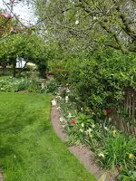 IMG_20240414_115917.jpg