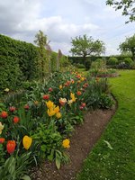 IMG_20240414_120658.jpg