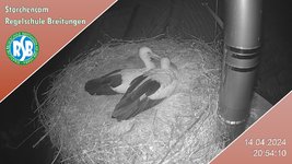 IMG_1450.jpeg