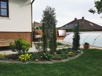IMG_20240415_085047.jpg
