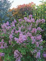 IMG_20240413_082558.jpg